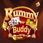 rummy buddy download
